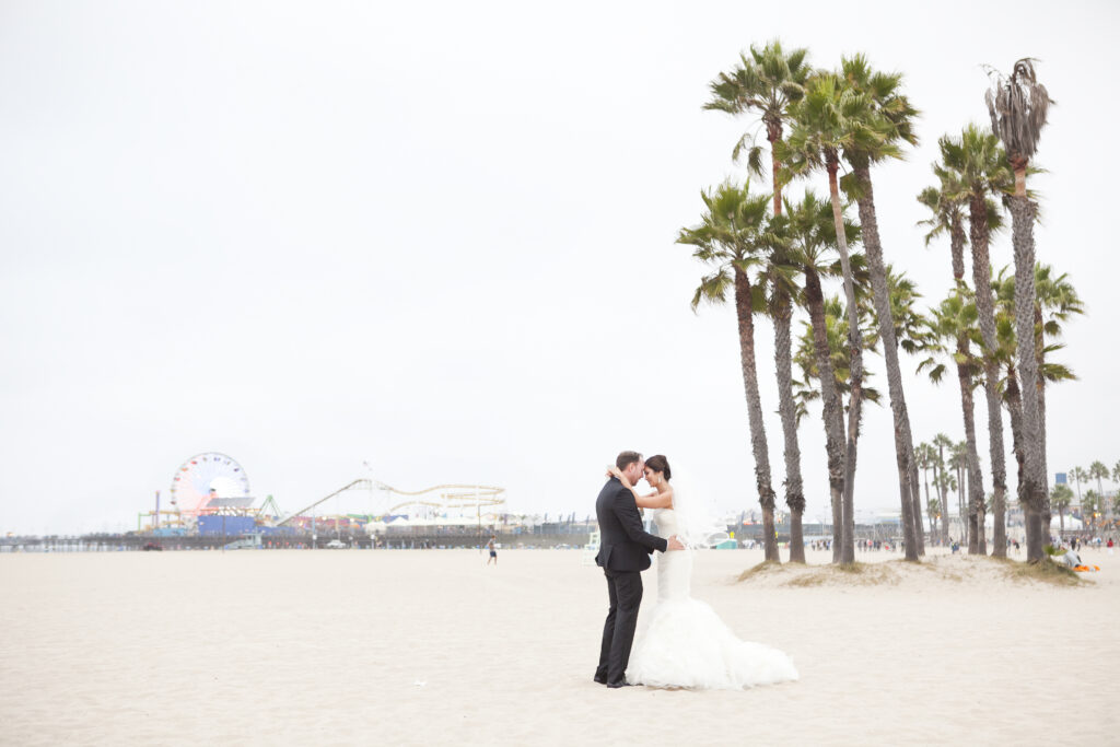 Beach wedding portraits California
